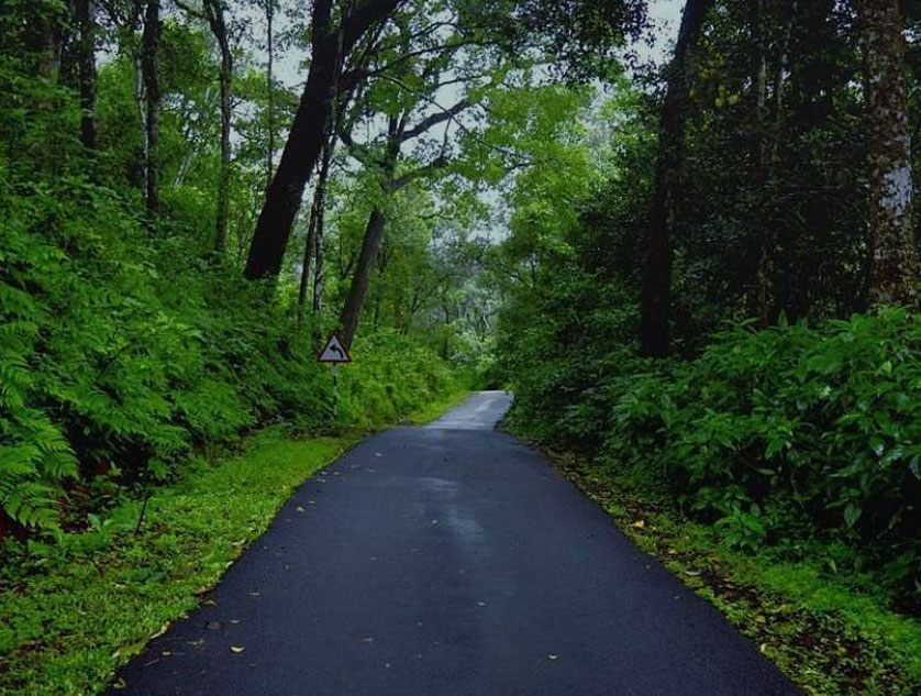 Kovalam - Thiruvananthapuram